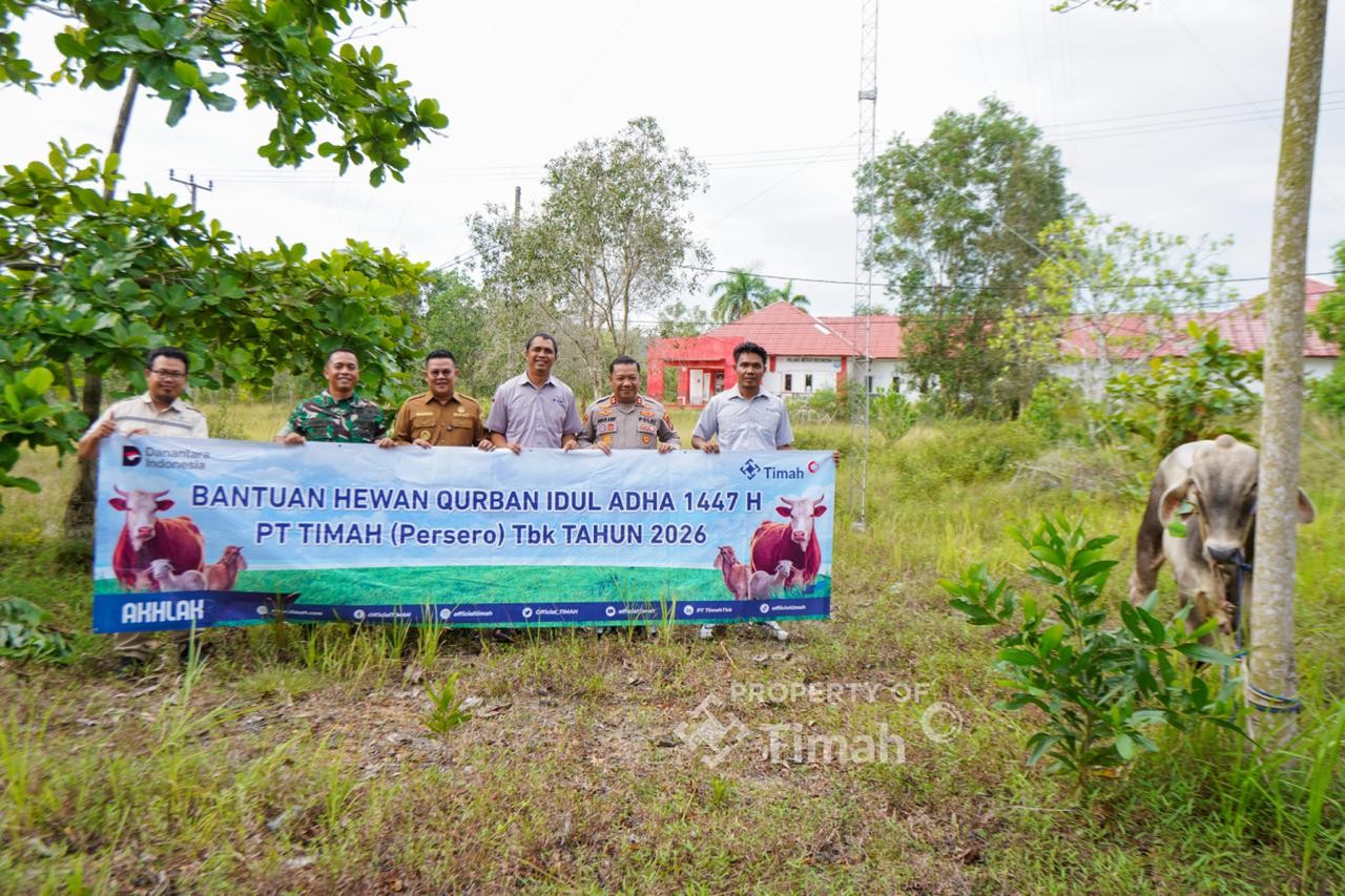 PT Timah Salurkan 31 Sapi Kurban untuk Warga Bangka Selatan