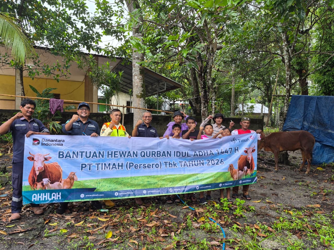 PT Timah Distribusikan 46 Sapi Kurban di Pulau Belitung