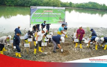 PT Timah Gandeng Pemkab Bangka Sulap Lahan Bekas Tambang Jadi Kawasan Hijau dan Produktif