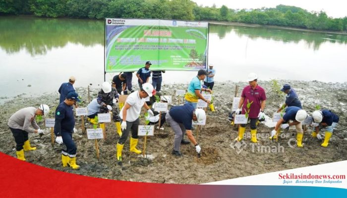PT Timah Gandeng Pemkab Bangka Sulap Lahan Bekas Tambang Jadi Kawasan Hijau dan Produktif