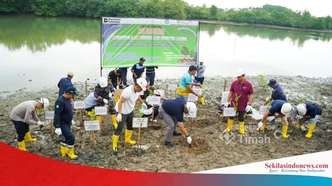 PT Timah Gandeng Pemkab Bangka Sulap lahan Bekas Tambang Jadi Kawasan Hijau dan Produktif