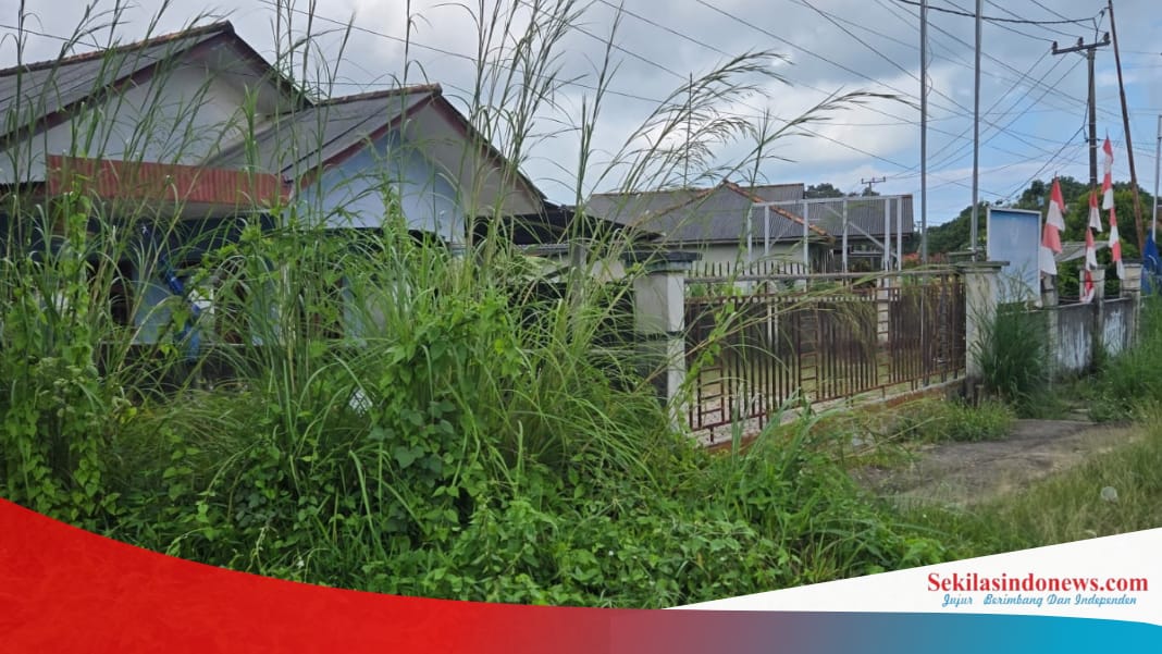 Ketua DPD NasDem Basel Akui Kondisi Kantor Memang Dibiarkan Kosong, Ini Alasannya