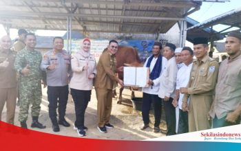 Riza-Debby Serahkan Sapi Kurban Limousin Bobot 1 Ton dari Presiden Prabowo ke Desa Paku