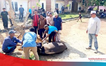 Polsek Lepar Pongok Sembelih 1 Ekor Sapi Kurban di Musala Ar Rahman