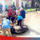 Polsek Lepar Pongok Sembelih 1 Ekor Sapi Kurban di Musala Ar Rahman