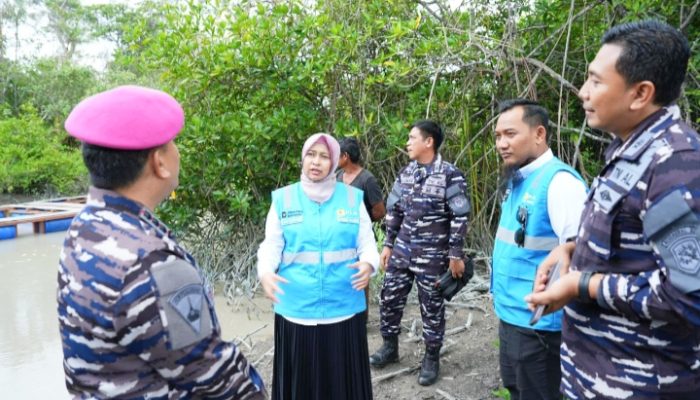 Pemanfaatan FABA PLN dukung terumbu buatan dan produktivitas perairan pesisir