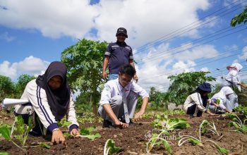 Pelajar Bangka Diajak PT Timah Jelajahi Kawasan Reklamasi Lewat Treasure Hunt