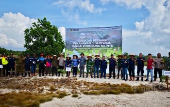 PT Timah Perkuat Konservasi Lingkungan Lewat Penanaman 500 Pohon di Romodong