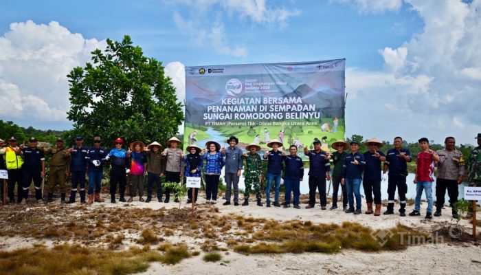 PT Timah Perkuat Konservasi Lingkungan Lewat Penanaman 500 Pohon di Romodong