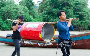 PT Timah Tebar Ratusan Ribu Anakan Cumi di Perairan Bangka