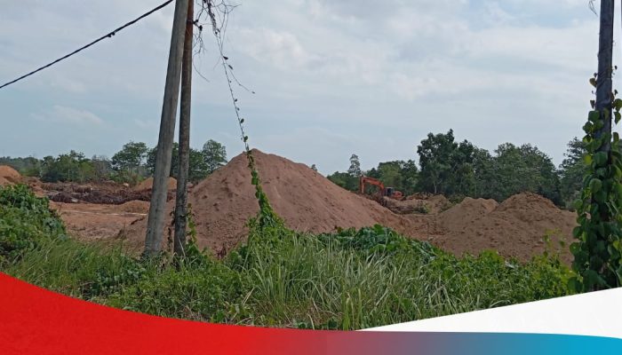 Feri Jali Bantah Miliki Tambang di Samping Gedung BPS Basel: Itu Lahannya Milik Ayah Saya