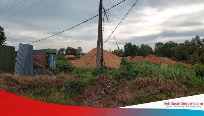 Bekerja di Luar Blok IUP PT Timah, Asun Klaim Tambangnya Kantongi SPK