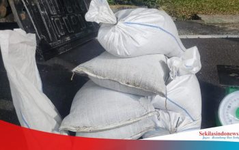 Polemik Tambang Samping Kantor BPS, Hasil Produksi Disebut Disalurkan ke PT Timah Lewat CV 26 Pratama