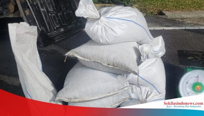 Polemik Tambang Samping Kantor BPS, Hasil Produksi Disebut Disalurkan ke PT Timah Lewat CV 26 Pratama
