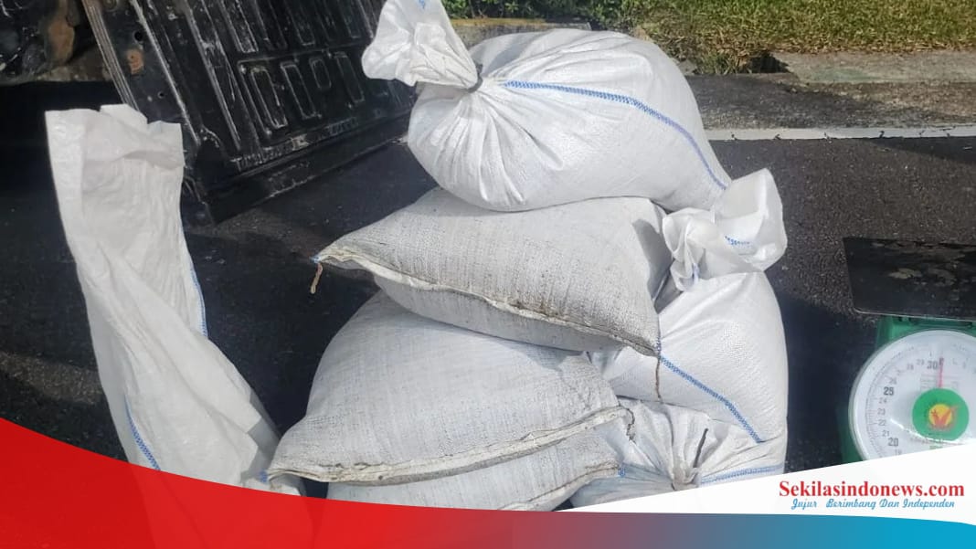 Polemik Tambang Samping Kantor BPS, Hasil Produksi Disebut Disalurkan ke PT Timah Lewat CV 26 Pratama