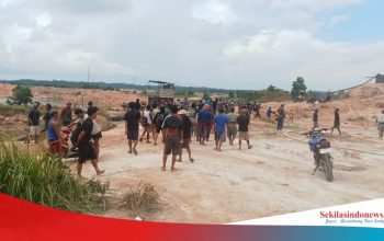 Aktivitas Tambang Timah Ilegal di Tempilang Dihentikan, Penambang Desak PT Timah Segera Terbitkan SPK