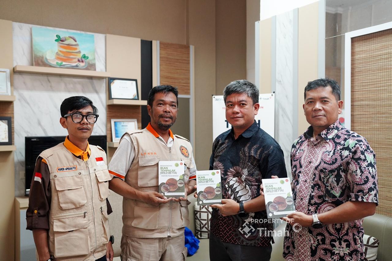 PT Timah Dukung Konservasi Ikan Tempalak Endemik Bangka Lewat Riset dan Penerbitan Buku Biodiversitas