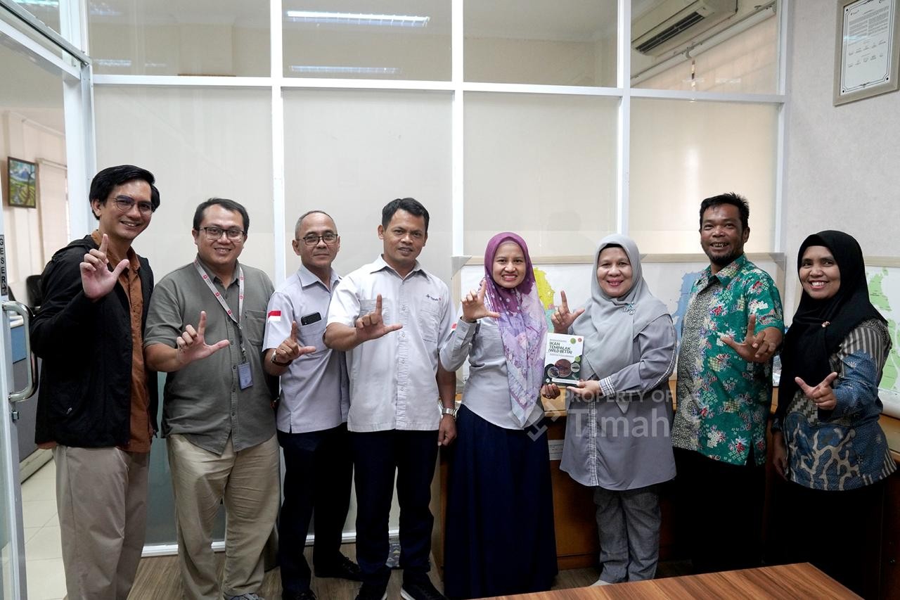 PT Timah Dukung Penelitian Ikan Endemik Bangka untuk Melestarikan Betta Burdigala yang Terancam Punah