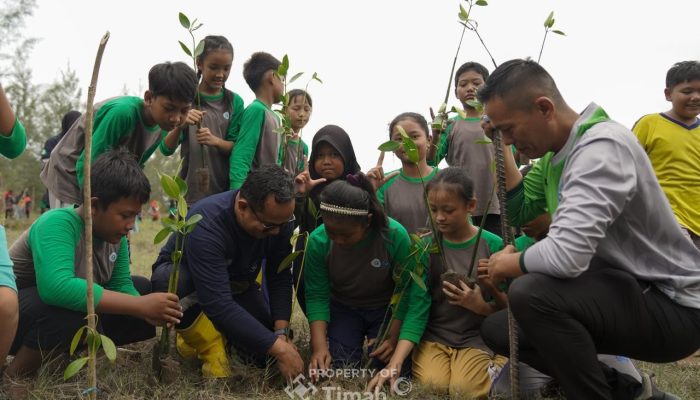 PT Timah Perkuat Reklamasi Lahan Bekas Tambang untuk Jaga Kelestarian Lingkungan