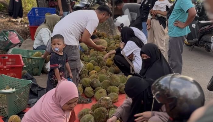 Kontes Durian Lokal jadi Upaya Strategis Pemprov Babel dalam Gerakkan Ekonomi Masyarakat