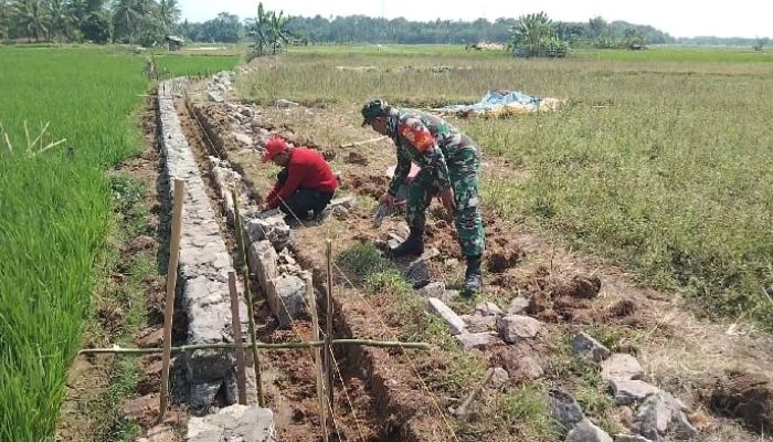 Babinsa Koramil 2304/Anyar Gotong Royong Bangun Irigasi, Perkuat Ketahanan Pangan di Wilayah Binaan