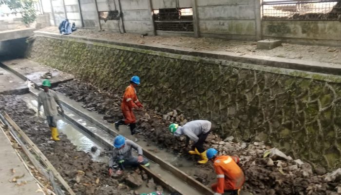 Babinsa Koramil 2302/Bojonegara Gotong Royong Bersama Warga, Bersihkan Lingkungan dan Bantu Pembangunan Rumah