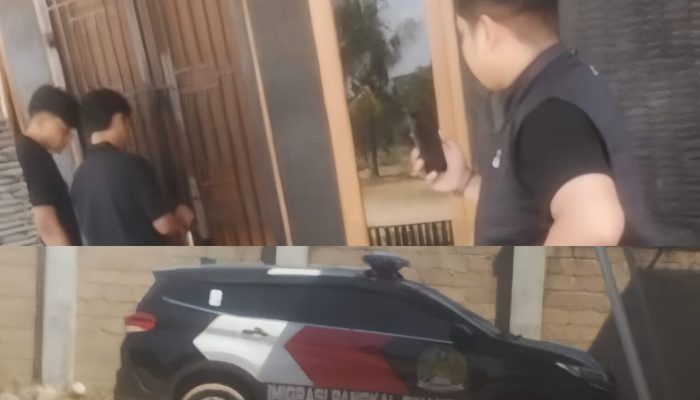 Operasi “Silent” Intelijen Imigrasi di Bangka Tengah: WNA China yang Bekerja di Pabrik Kayu PT BTAG Diamankan