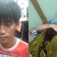 Ini Tampang Pria yang Diduga Aniaya Mahasiswi Poltekkes Magang di Bangka Selatan hingga Lehernya Terluka