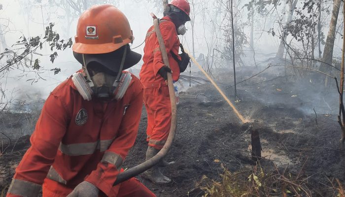 Atasi Karhutla Kalimantan, Modifikasi Cuaca Terus Dioptimalkan