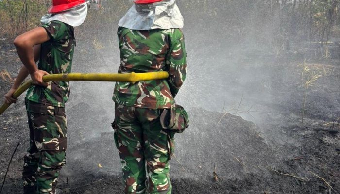 Cegah Api Meluas ke Permukiman, Yonif 147 Padamkan Karhutla di Bangka Tengah