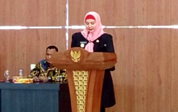 Wabup Debby Dorong Raperda di Luar Propemperda Bangka Selatan Segera Dibahas, Ini Dasar Hukumnya