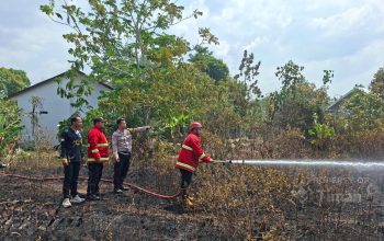 Perkuat Penanganan Karhutla, Emergency Response Team PT Timah Sudah 97 Kali Turun Padamkan Api