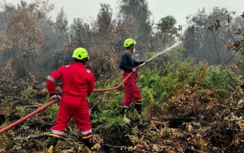 PT Timah Kerahkan Personel Fire Fighter Bersama Grup MIND ID Tangani Karhutla di Kalimantan Barat