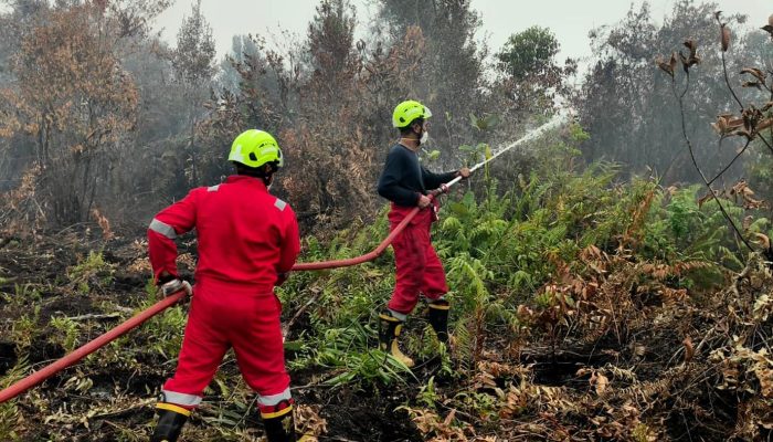 PT Timah Kerahkan Personel Fire Fighter Bersama Grup MIND ID Tangani Karhutla di Kalimantan Barat