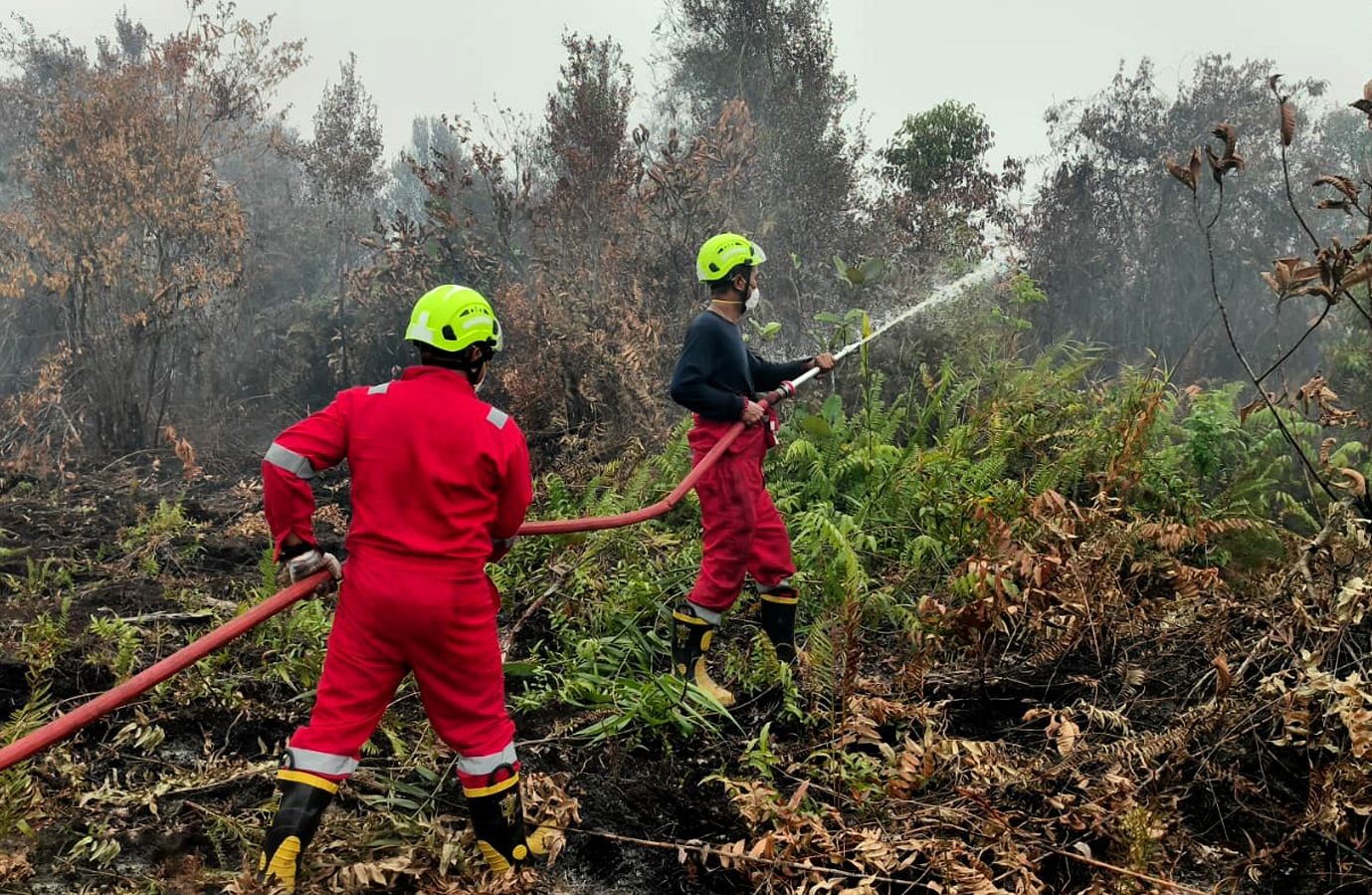 PT Timah Kerahkan Personel Fire Fighter Bersama Grup MIND ID Tangani Karhutla di Kalimantan Barat