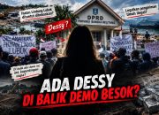 Ada Nama Dessy di Balik Demo DPRD Babel? Begini Bantahan Soal Tudingan Tambang Ilegal