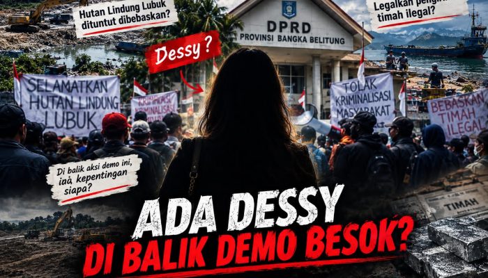 Ada Nama Dessy di Balik Demo DPRD Babel? Begini Bantahan Soal Tudingan Tambang Ilegal