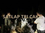 Satlap Tri Cakti Amankan 175 Karung Timah di Pantai Munsang, Diduga Siap Selundup ke Luar Negeri