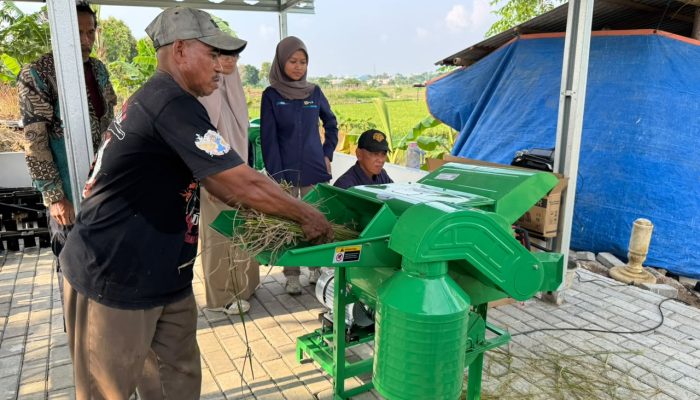 PLN Bantu Petani Bekasi Tingkatkan Produktivitas Lewat  Electrifying Agriculture
