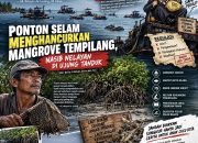 Puluhan Ponton Selam Disebut Beraktivitas di Pesisir Tempilang, Nelayan Khawatir Mangrove dan Ruang Tangkap Terganggu