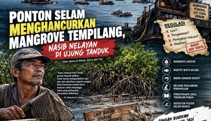 Puluhan Ponton Selam Disebut Beraktivitas di Pesisir Tempilang, Nelayan Khawatir Mangrove dan Ruang Tangkap Terganggu