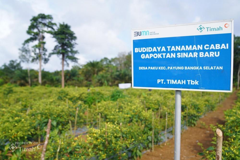 Dukung Ketahanan Pangan, PT Timah Bina Petani hingga Kelompok Hidroponik di Wilayah Operasional