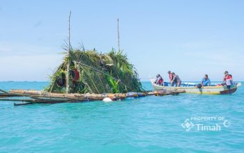 Dari Terumbu Buatan hingga Restocking Cumi, Upaya PT Timah Jaga Ekosistem Laut dan Dukung Nelayan