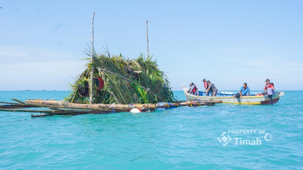 Dari Terumbu Buatan hingga Restocking Cumi, Upaya PT Timah Jaga Ekosistem Laut dan Dukung Nelayan