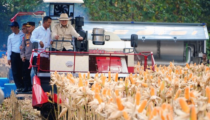 Dua Tahun Gerak Nyata, Swasembada 8 Komoditas Pangan hingga Stok Beras Melimpah di Era Prabowo