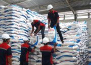 Dua Tahun Pemerintahan Prabowo: Harga Pupuk Turun 20 Persen, Kesejahteraan Petani Meningkat