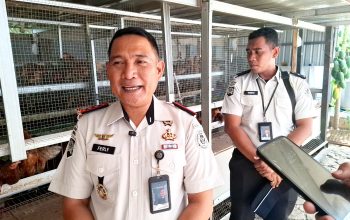 Rutan Kelas IIB Mentok Bekali Warga Binaan Beternak Ayam, Hasilkan 350 Butir Telur per Hari